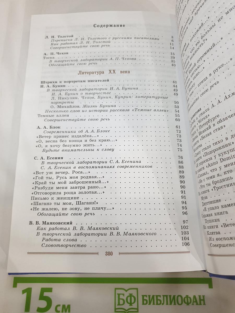 Литература. 9 класс. Часть 2