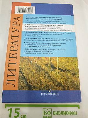 Литература. 9 класс. Часть 2