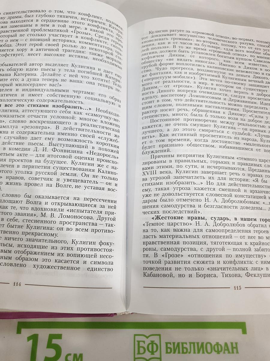 Литература. 10 класс. Учебник для общеобразовательных учреждений. Часть 2