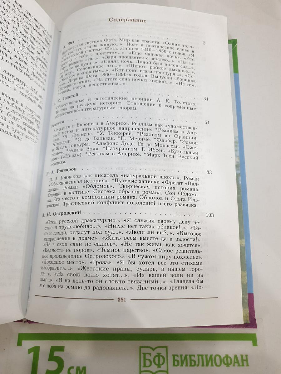 Литература. 10 класс. Учебник для общеобразовательных учреждений. Часть 2