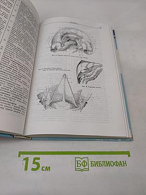 Карманный атлас анатомии человека