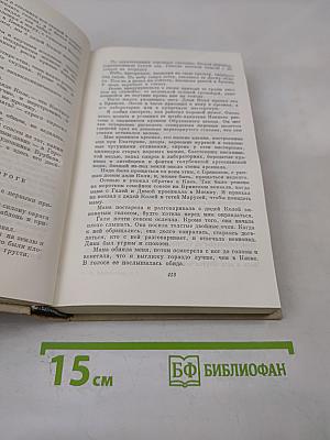 Собрание сочинений. Том четвертый. Повесть о жизни. Далекие годы. Беспокойная юность. Начало неведомого века