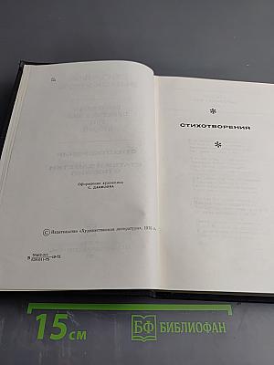 Избранные произведения. Том второй. Стихотворения. Статьи и заметки о поэзии