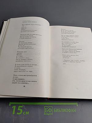 Избранные произведения. Том второй. Стихотворения. Статьи и заметки о поэзии