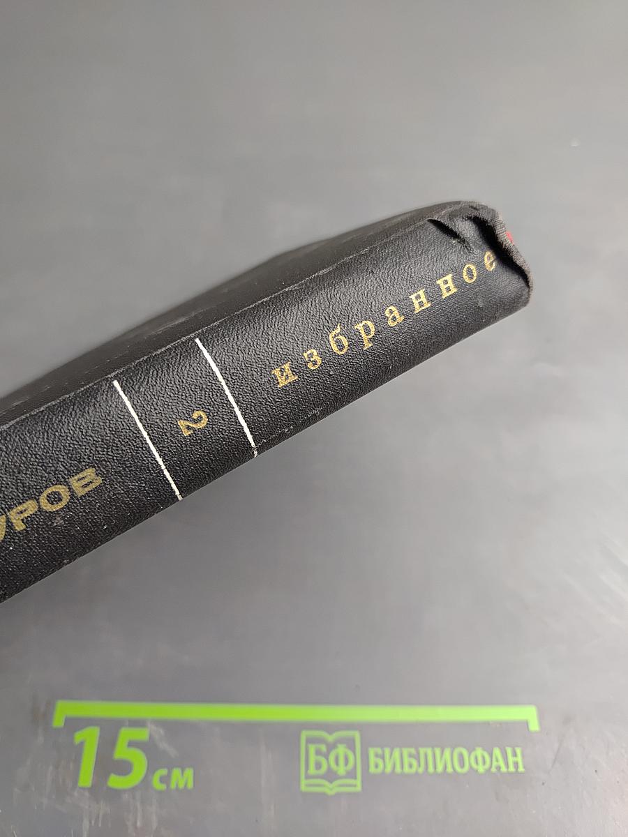 Избранные произведения. Том второй. Стихотворения. Статьи и заметки о поэзии