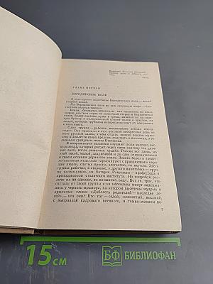 Во имя Отца и Сына