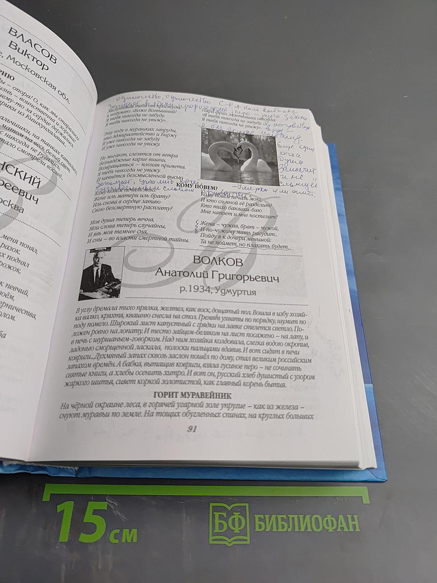 Поэзию любят красивые люди. Десятая книга. Избранные стихи из книг «Былинок»