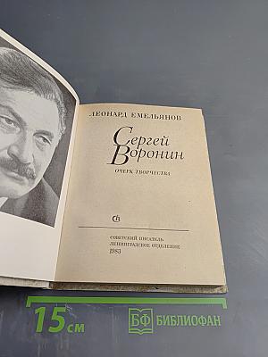 Сергей Воронин. Очерк творчества