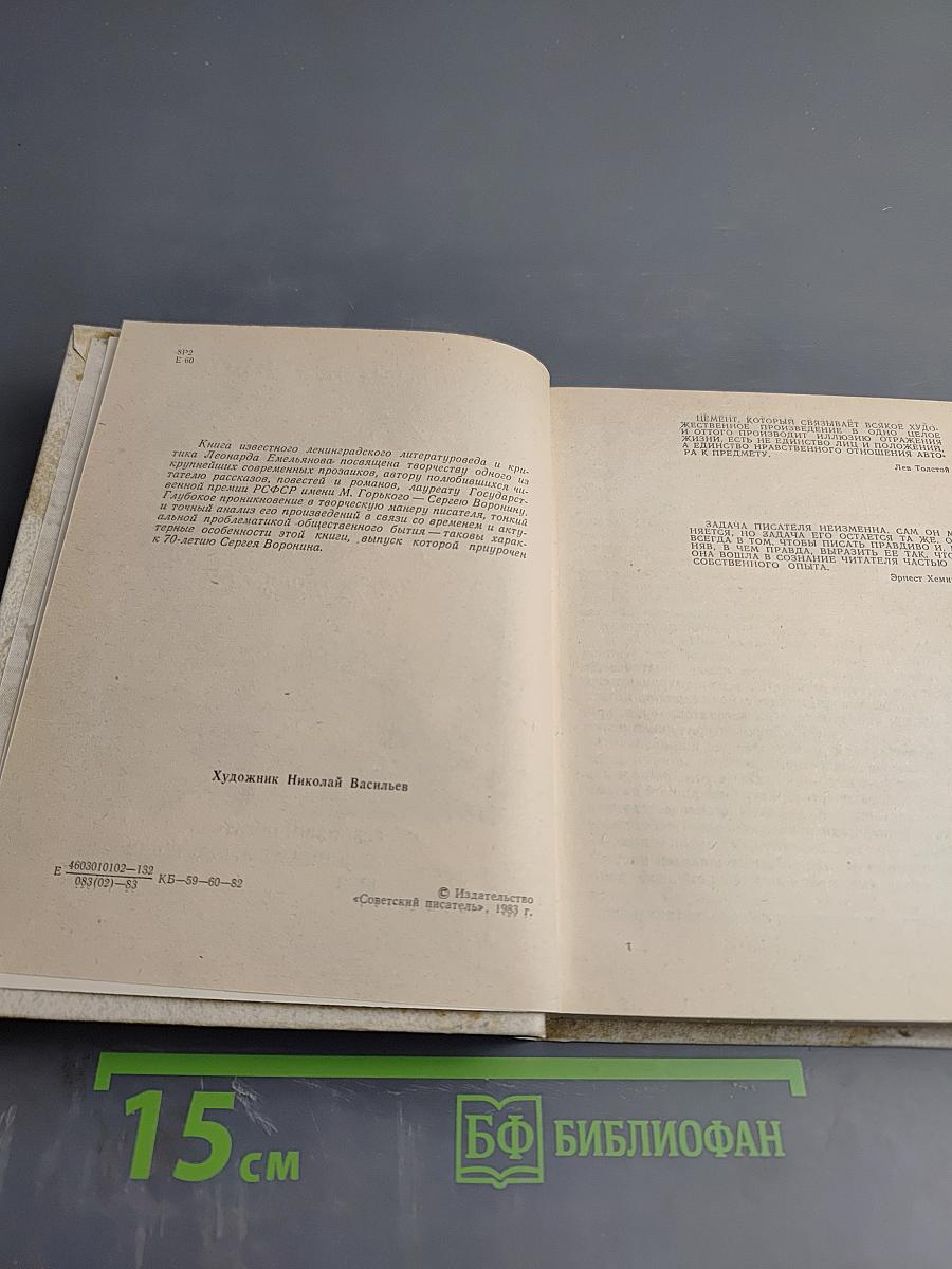 Сергей Воронин. Очерк творчества