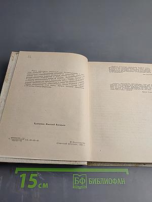 Сергей Воронин. Очерк творчества