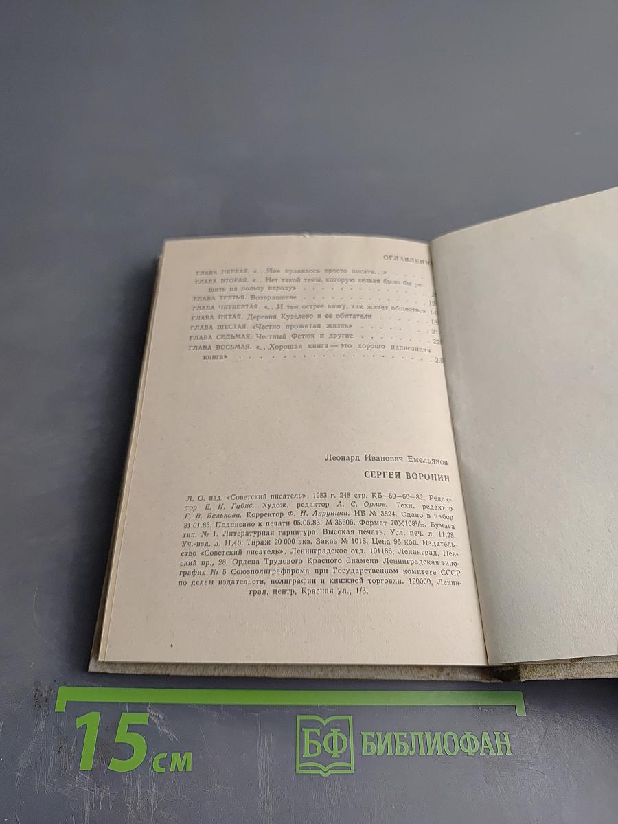 Сергей Воронин. Очерк творчества