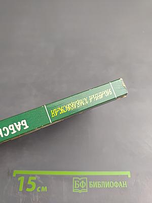 Бабский мотив