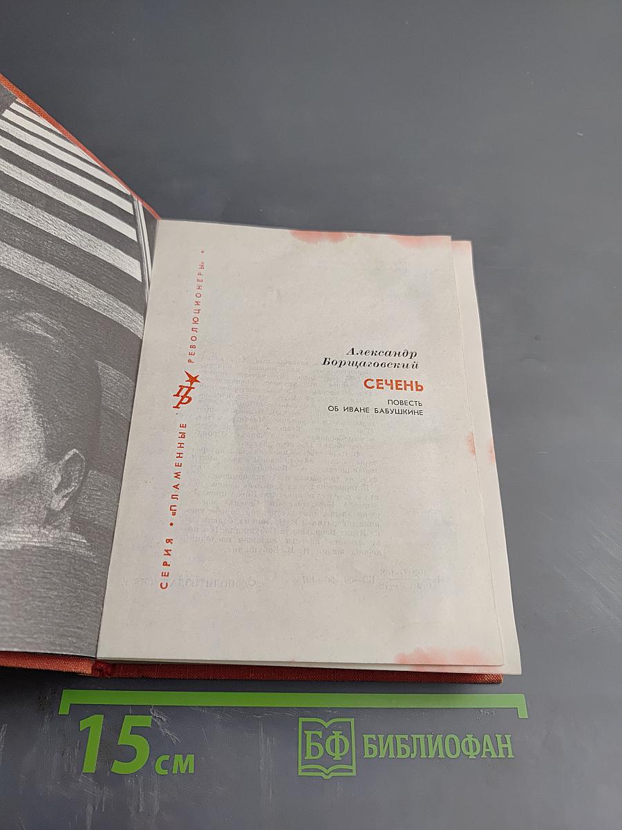 Сечень. Повесть об Иване Бабушкине
