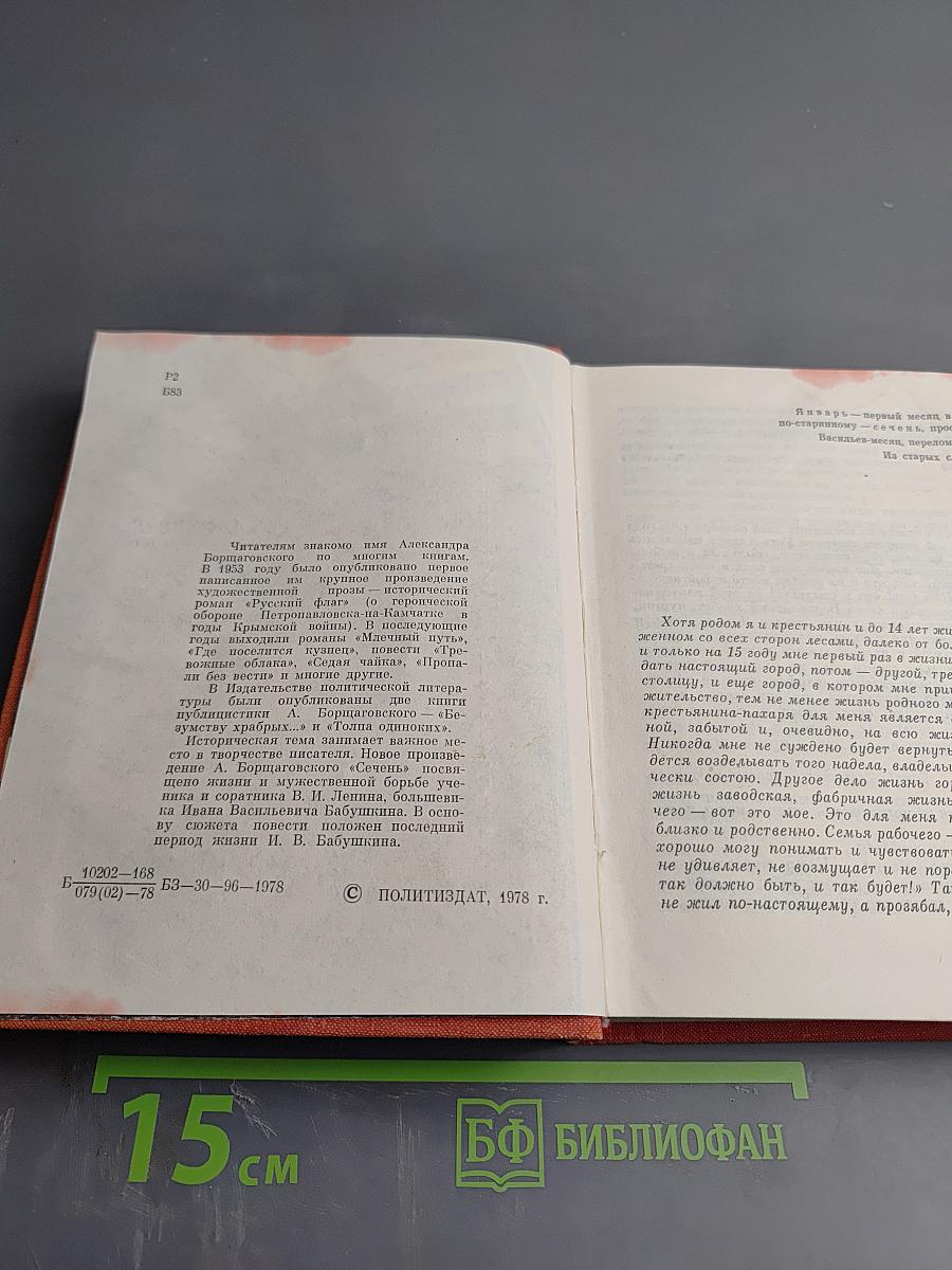 Сечень. Повесть об Иване Бабушкине