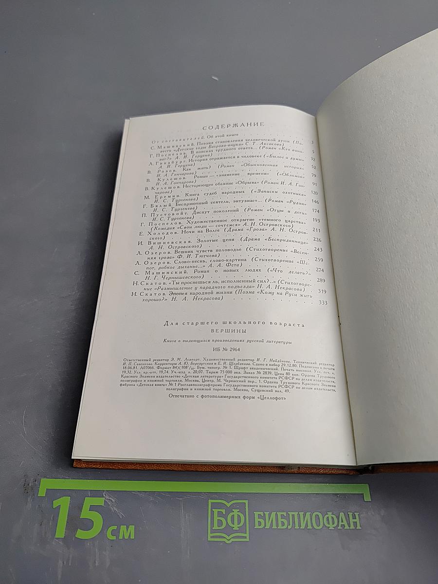 Вершины: Книга о выдающихся произведениях русской литературы