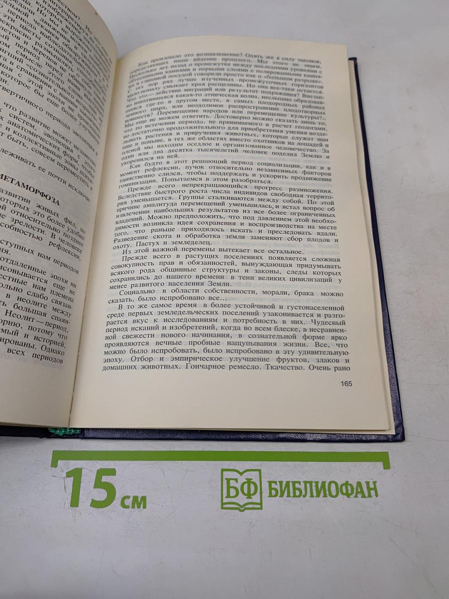 Феномен человека