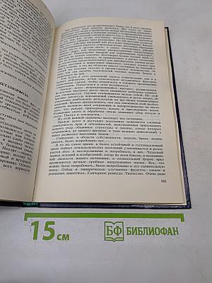 Феномен человека