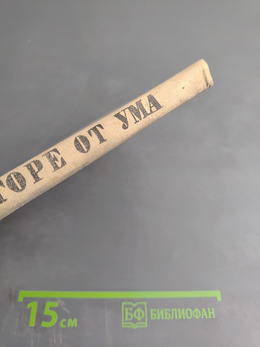 Горе от ума