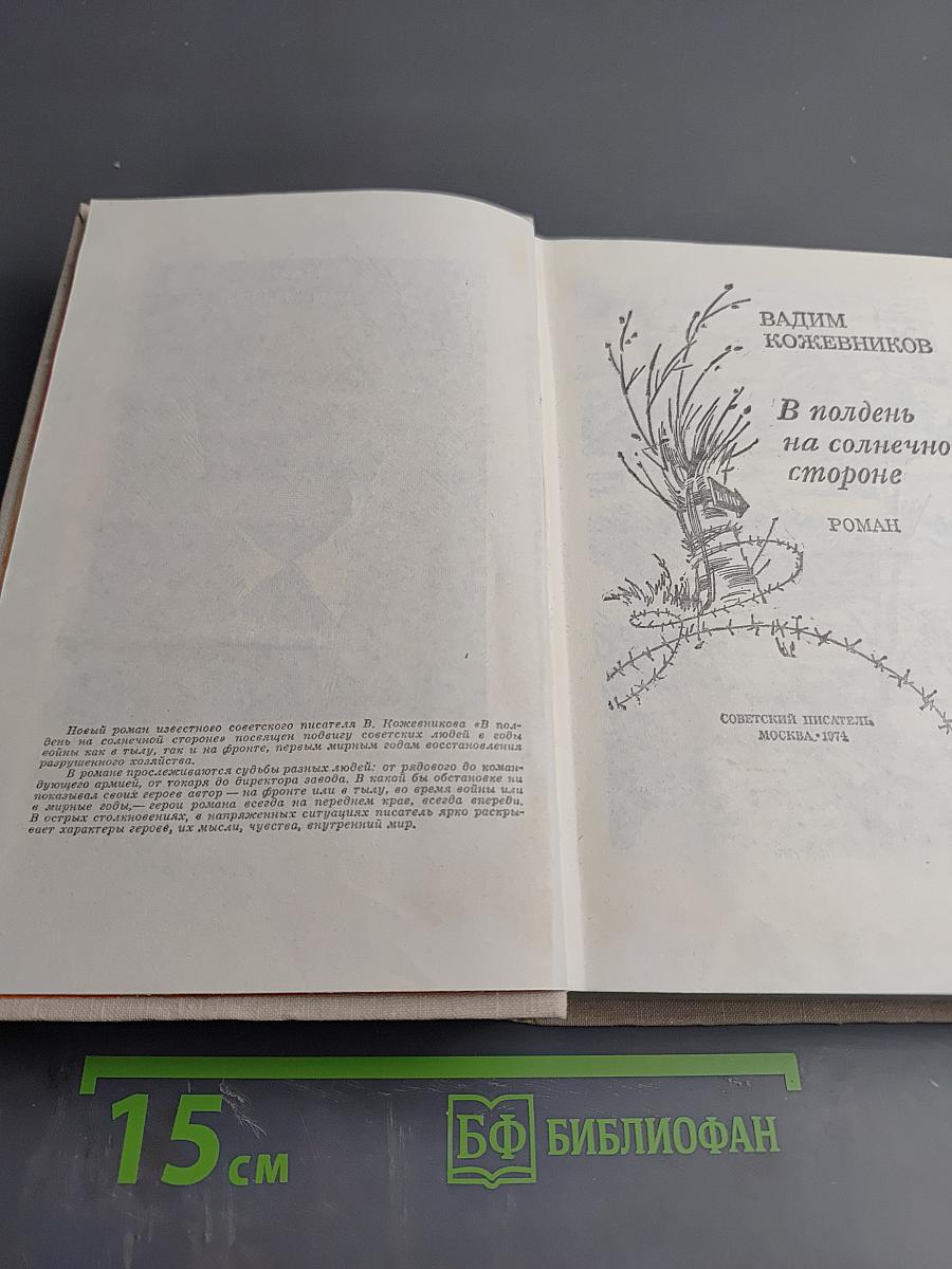 В полдень на солнечной стороне