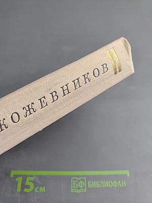 В полдень на солнечной стороне