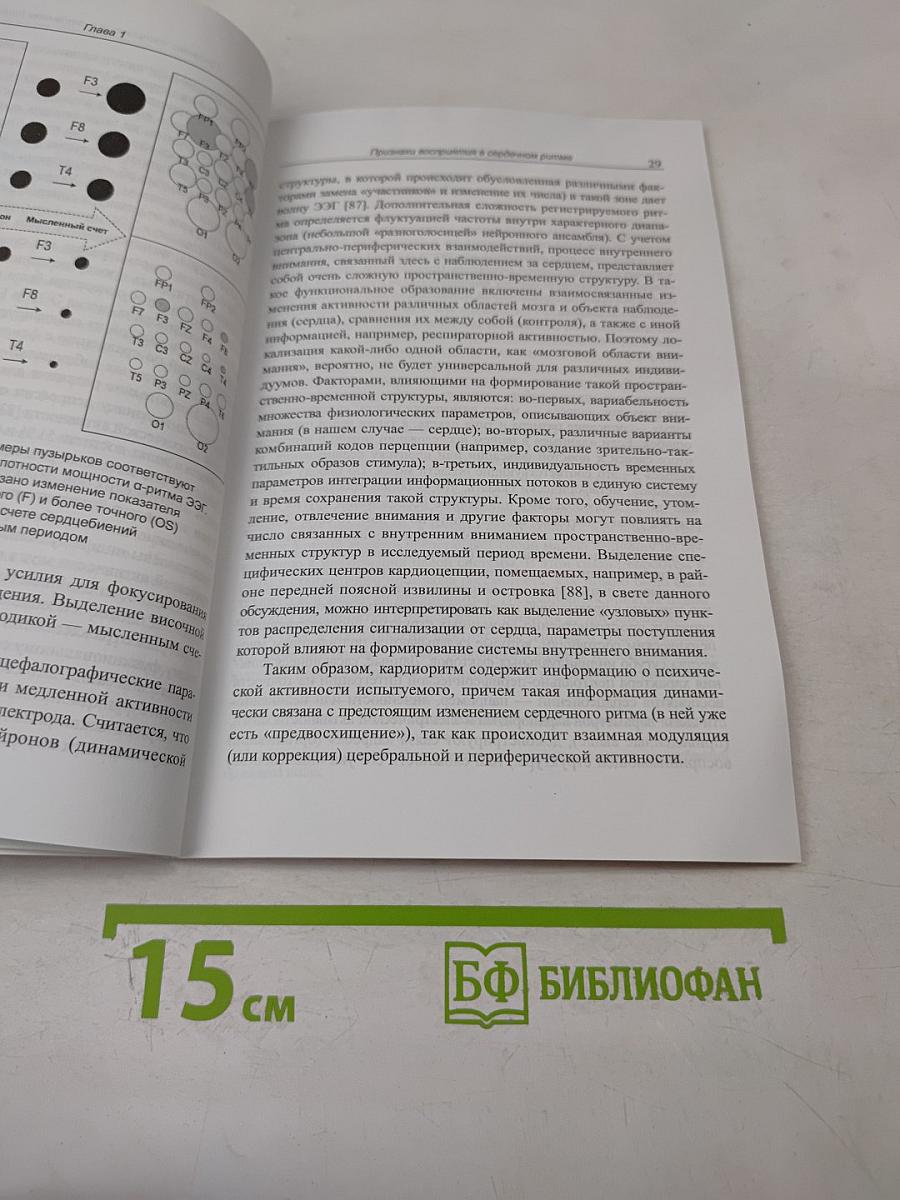 Восприятие сердцебиений и когнитивные аспекты кардиоритма