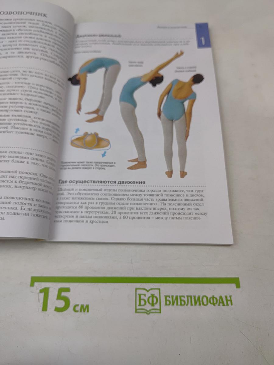 Забудьте о боли в спине