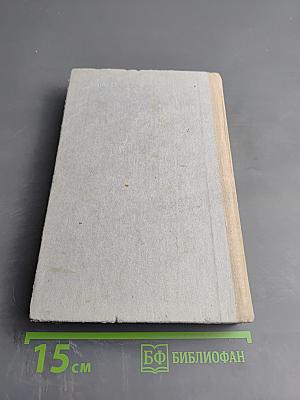 Светлые воды Тыми