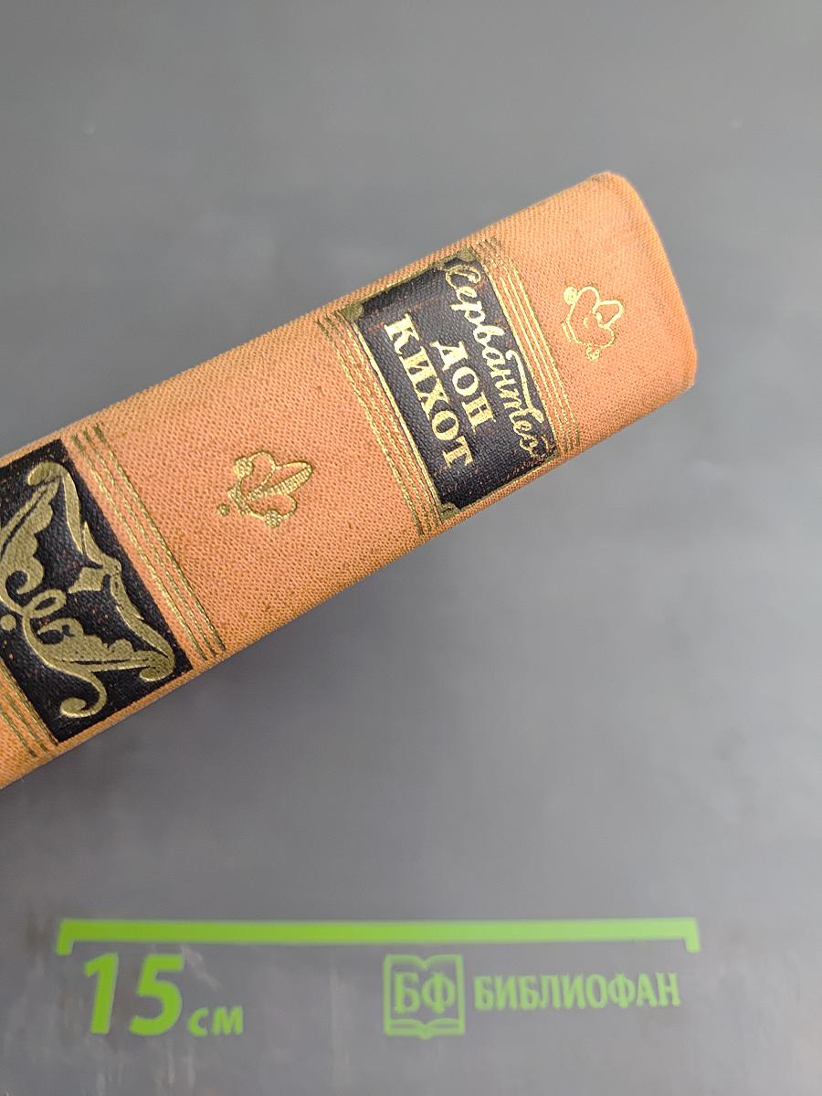 Хитроумный идальго Дон Кихот Ламанчский. Часть первая