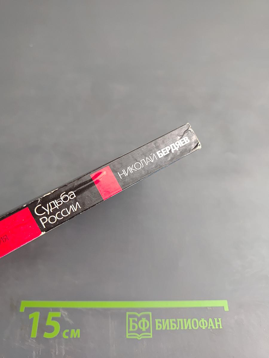 Судьба России