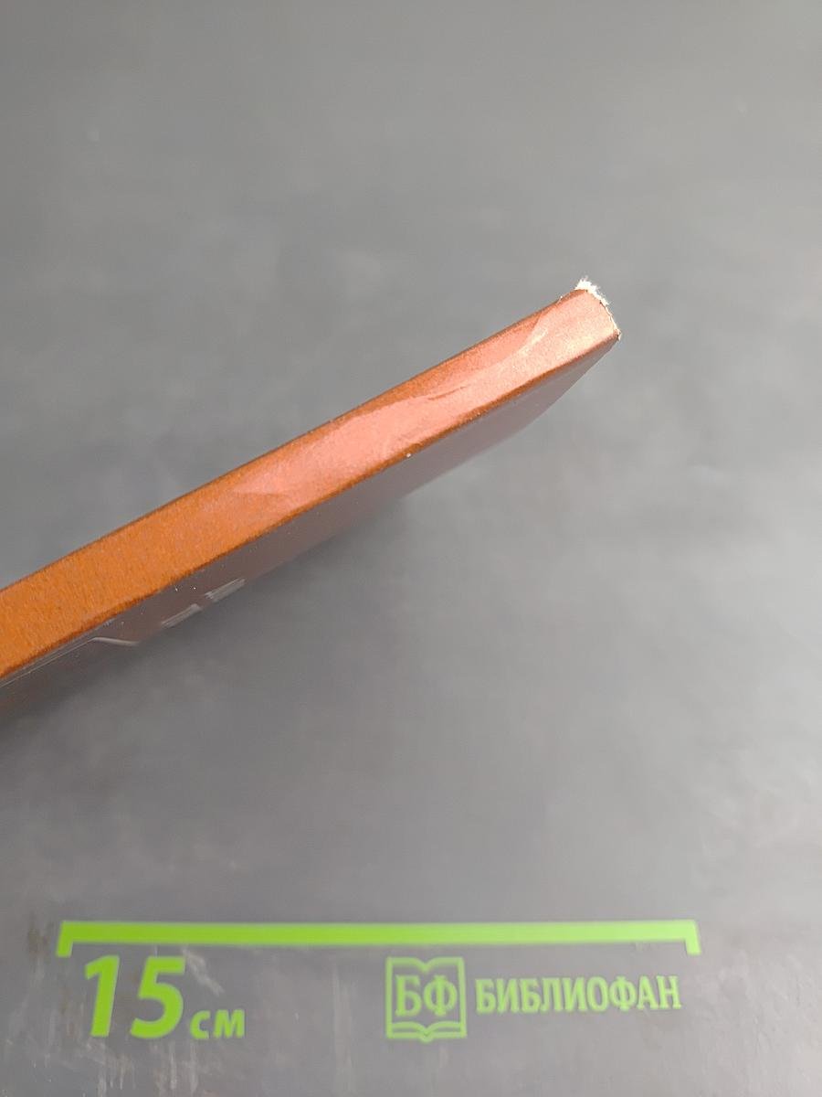 Доменико Трезини