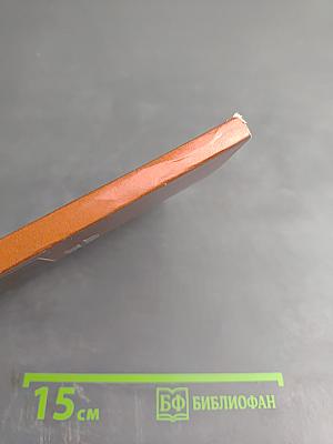 Доменико Трезини