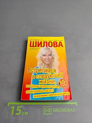 Встретимся в следующей жизни, или Трудно ходить по земле, если умеешь летать
