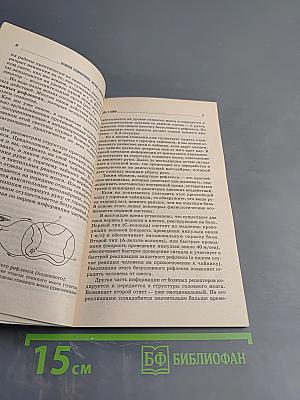 Болезни позвоночника: взгляд современной медицины