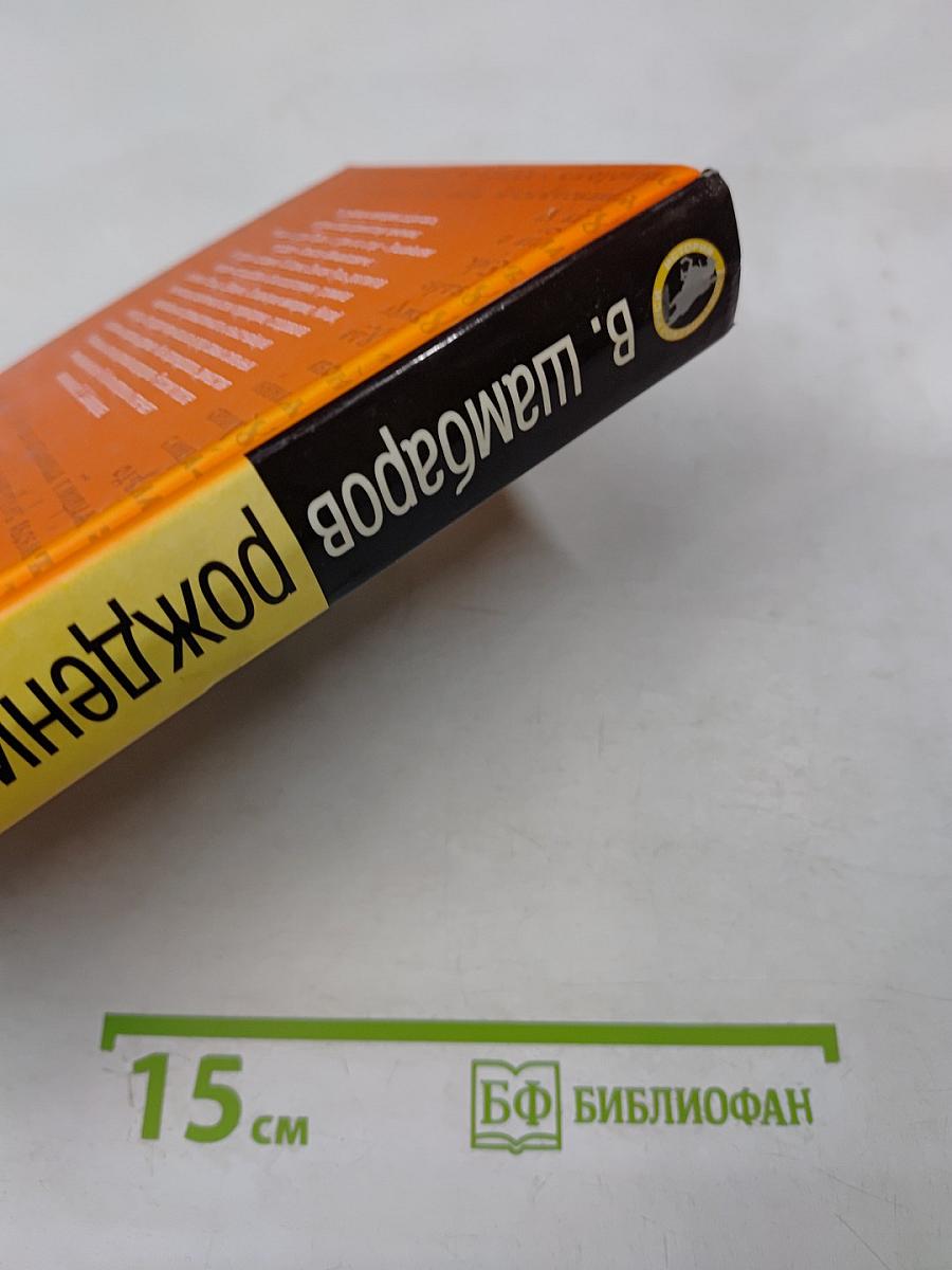 Рождение династии: тайна воцарения Романовых