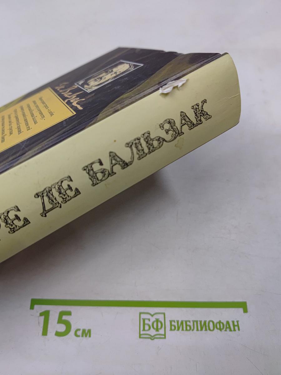 Человеческая комедия. Том Шестой