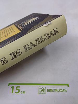 Человеческая комедия. Том Шестой