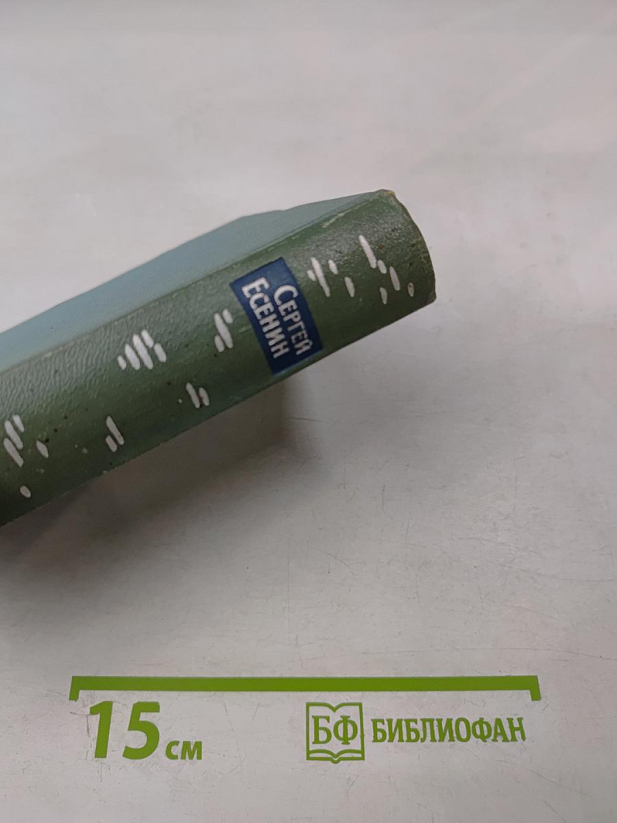 Собрание сочинений. Том 5: Автобиографии, статьи, письма