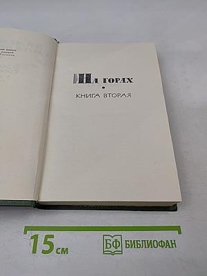 На горах. Книга вторая