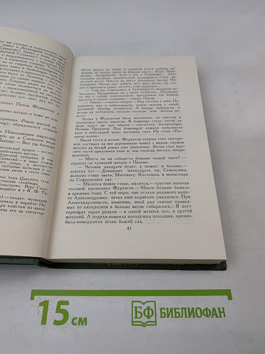 На горах. Книга вторая