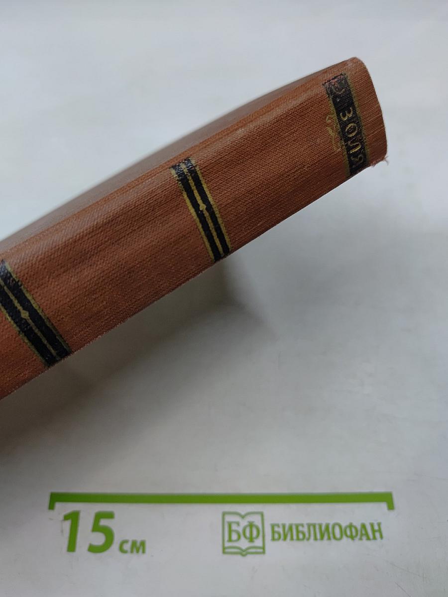 Эмиль Золя. Том 13. Мечта. Человек-зверь