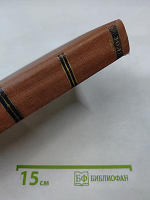 Эмиль Золя. Том 13. Мечта. Человек-зверь