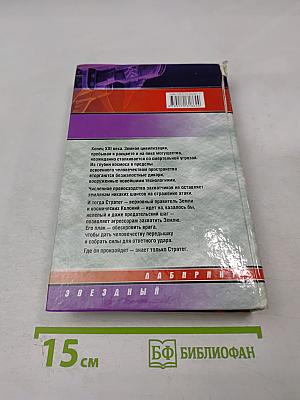 Стратег. Схватка