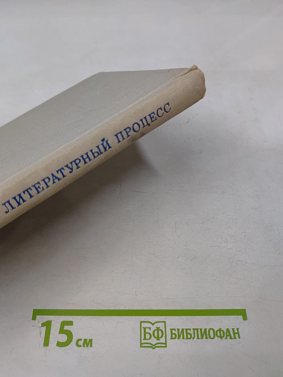 Историко-литературный процесс: Проблемы и методы изучения