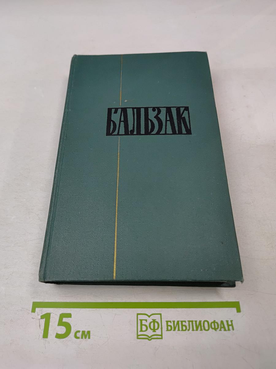 Сцены провинциальной жизни. Том VI (из Собрания сочинений)