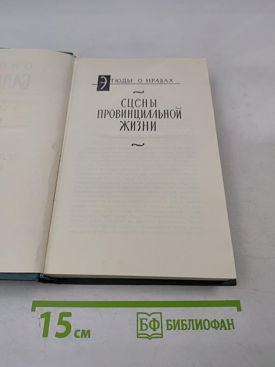 Сцены провинциальной жизни. Том VI (из Собрания сочинений)