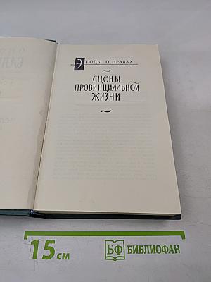 Сцены провинциальной жизни. Том VI (из Собрания сочинений)