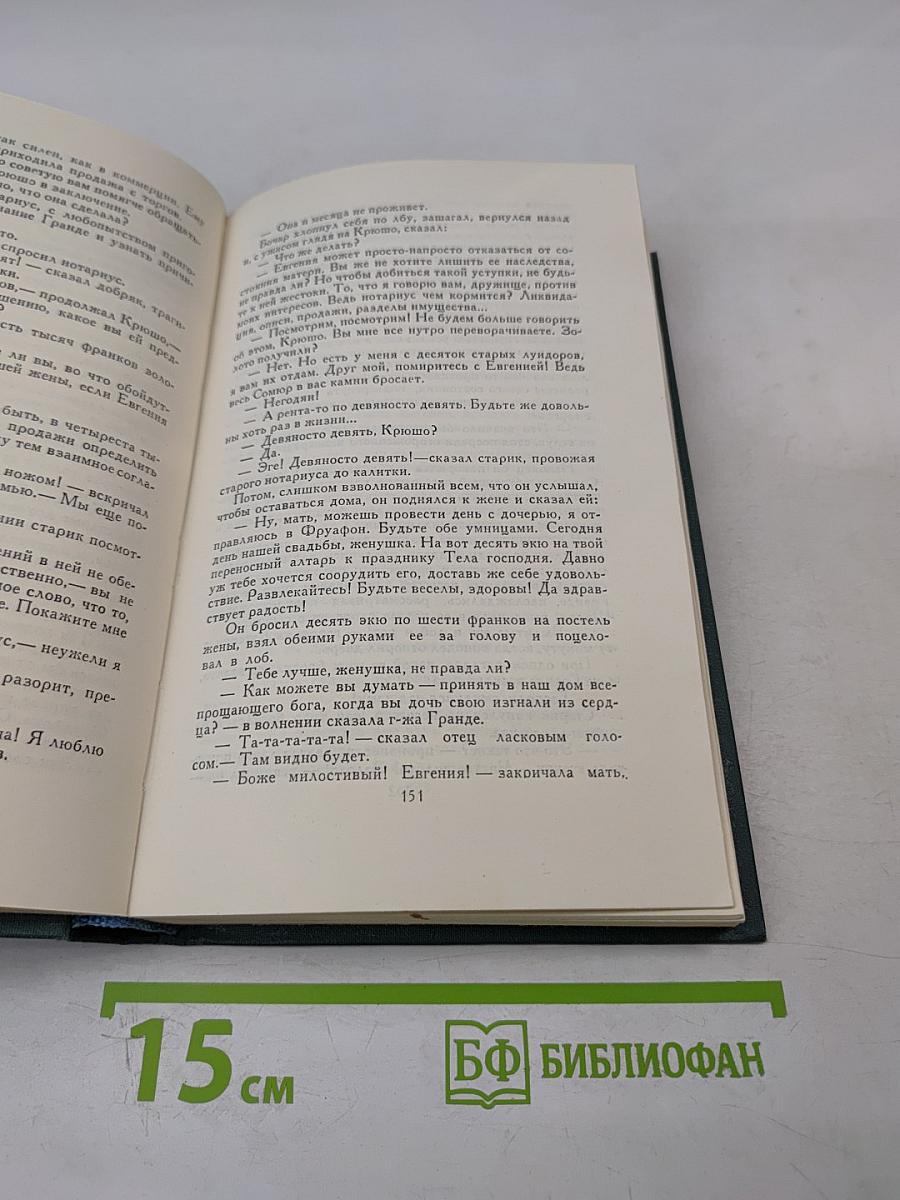 Сцены провинциальной жизни. Том VI (из Собрания сочинений)