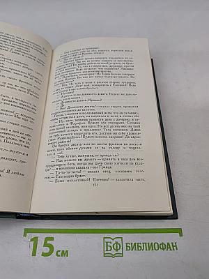 Сцены провинциальной жизни. Том VI (из Собрания сочинений)