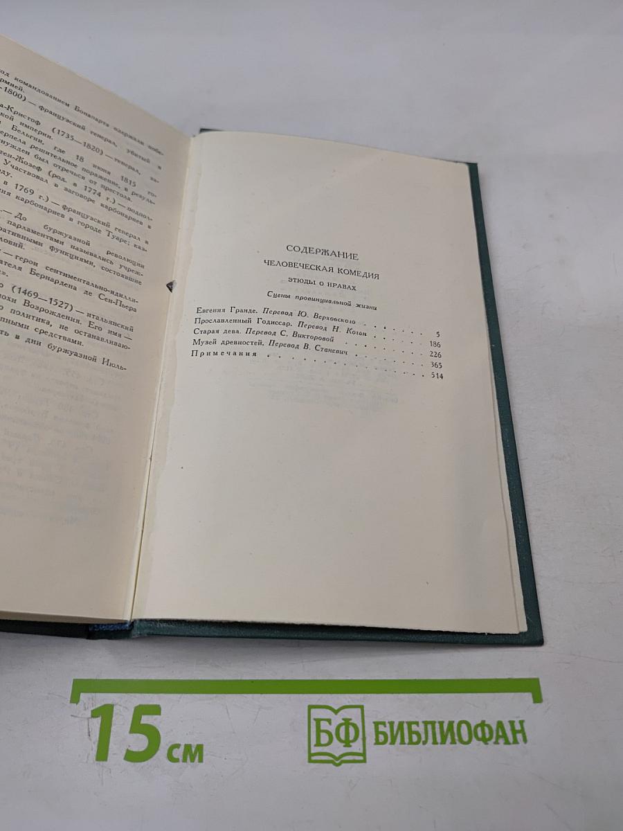 Сцены провинциальной жизни. Том VI (из Собрания сочинений)