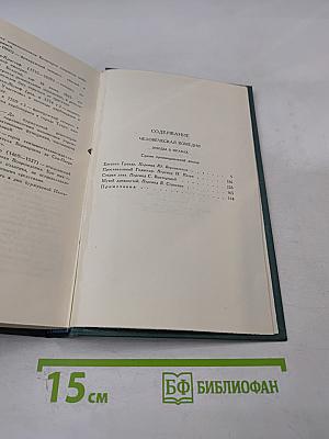 Сцены провинциальной жизни. Том VI (из Собрания сочинений)